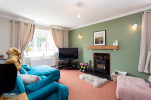 Photo 11- click for photo gallery